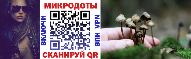 дарк нет официальный сайт  Владикавказ  Псилоцибиновые грибы прущие грибы  закладки 